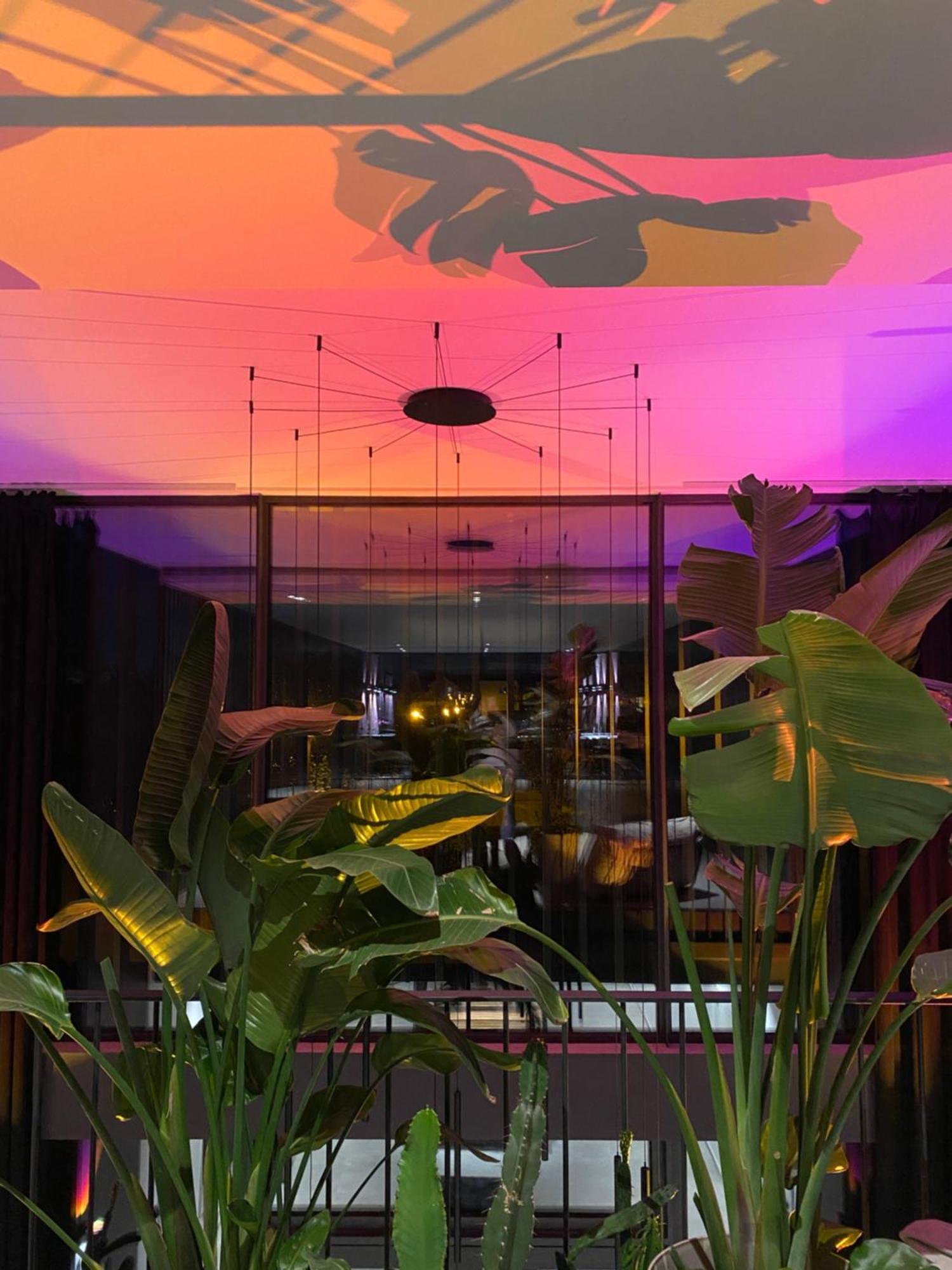 Exklusive Design Appartement Palm Paradise Neubau Pfungstadt Bagian luar foto